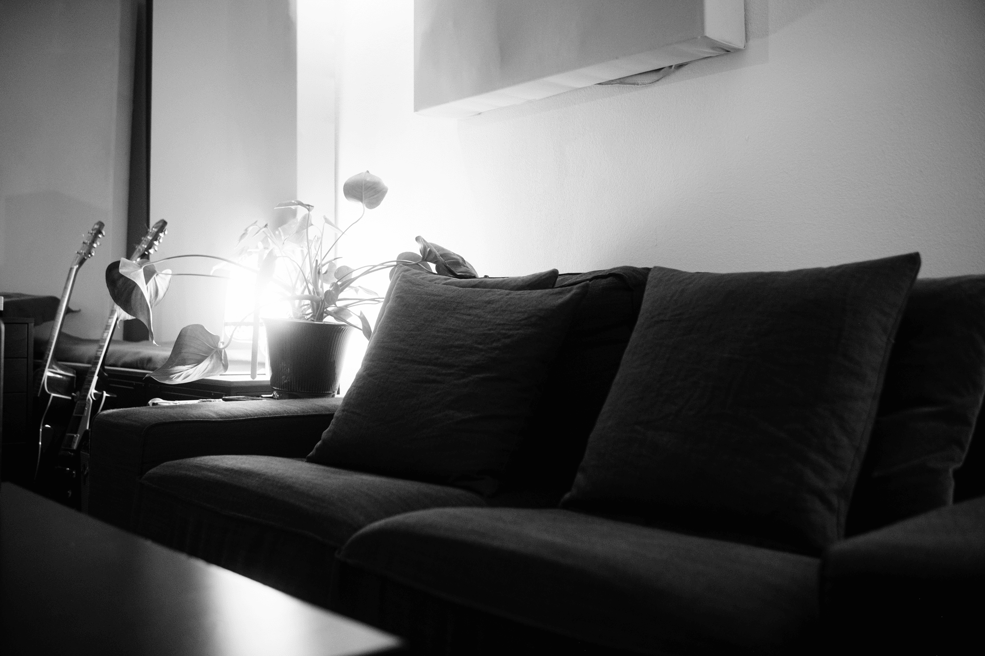 studio sofa